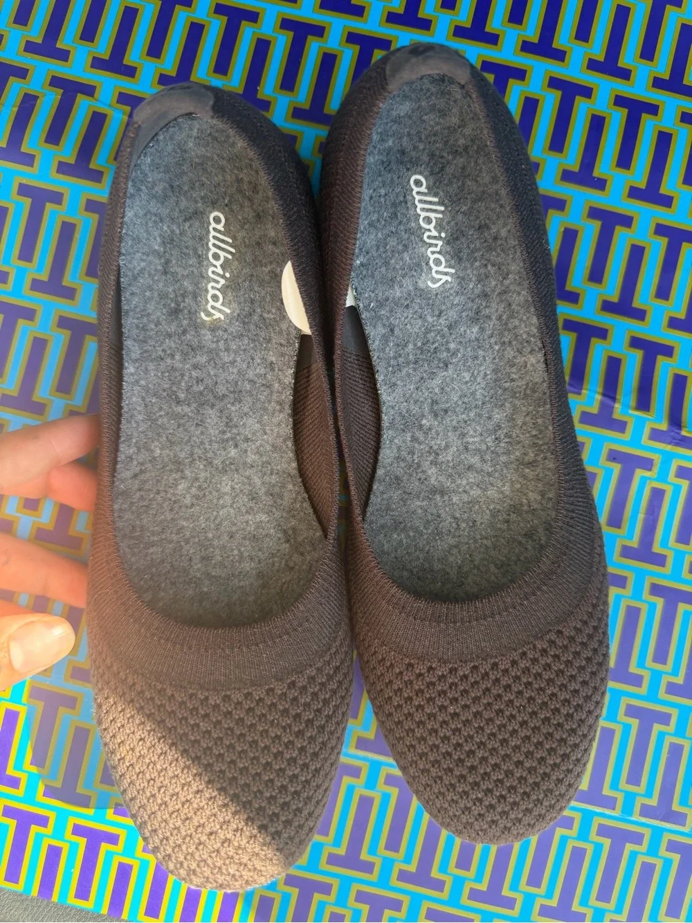 allbirds comfortable knit